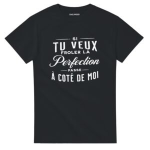 T-SHIRT-SI-TU-VEUX-FRÔLER-LA-PERFECTION-PASSE-À-CÔTÉ-DE-MOI.jpg T-SHIRT SI TU VEUX FRÔLER LA PERFECTION, PASSE À CÔTÉ DE MOI