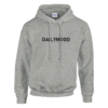 HOODIE DAILYMOOD  le confort qui dit tout